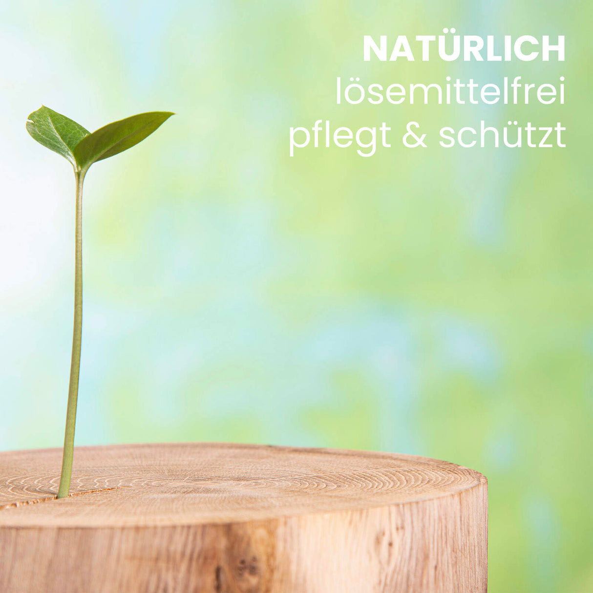 Keimling auf Holzstumpf, Text: "Natürlich lösemittelfrei pflegt & schützt".