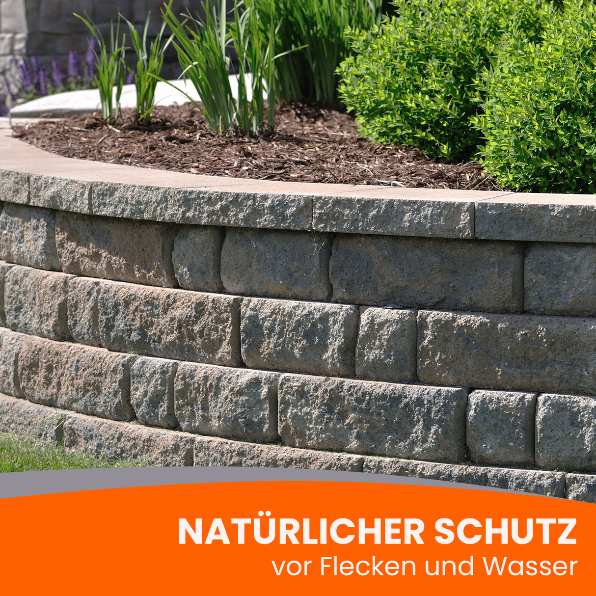 Steinmauer mit Pflanzen und Text.