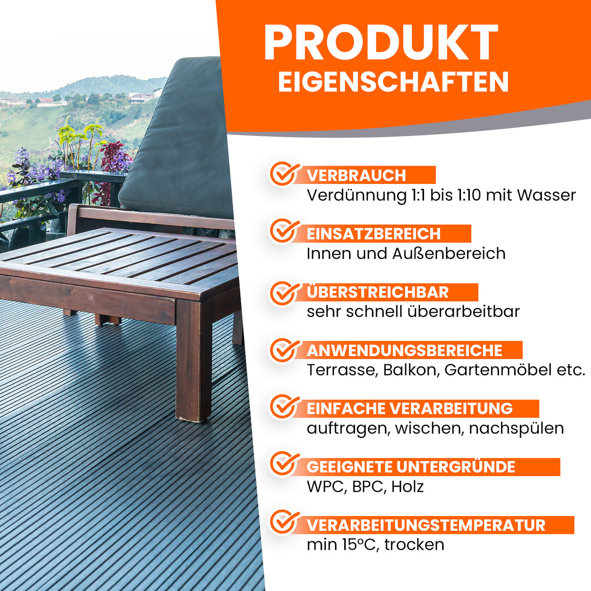 BE-718 WPC Reiniger Set Konzentrat + Bürste