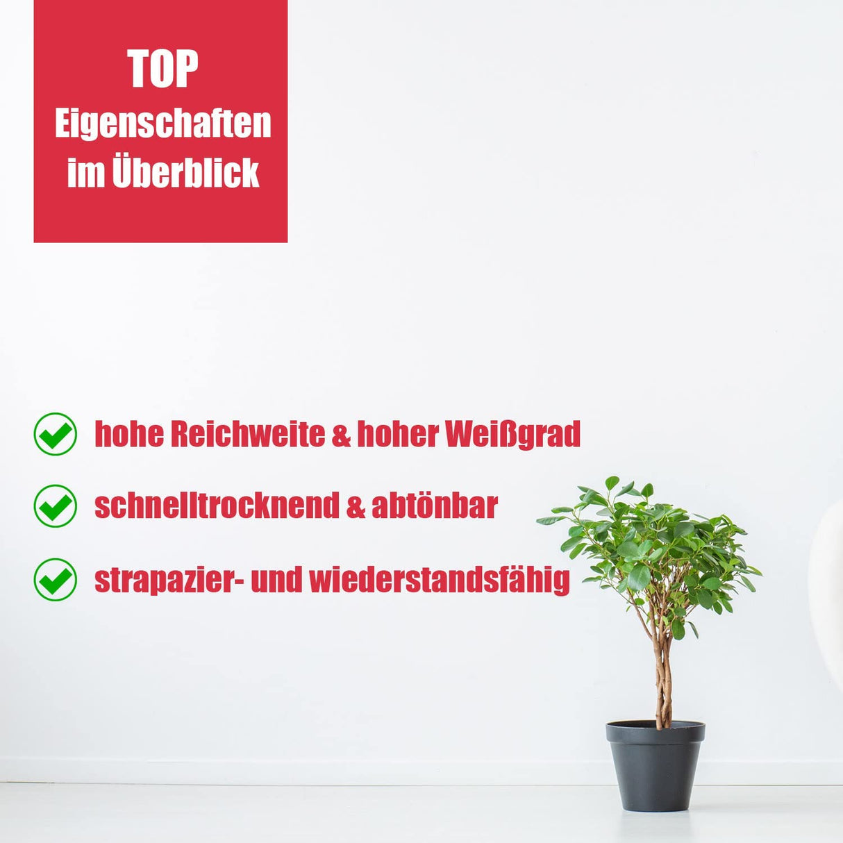 Pflanze, Wand, Text, Eigenschaften, Häkchen.