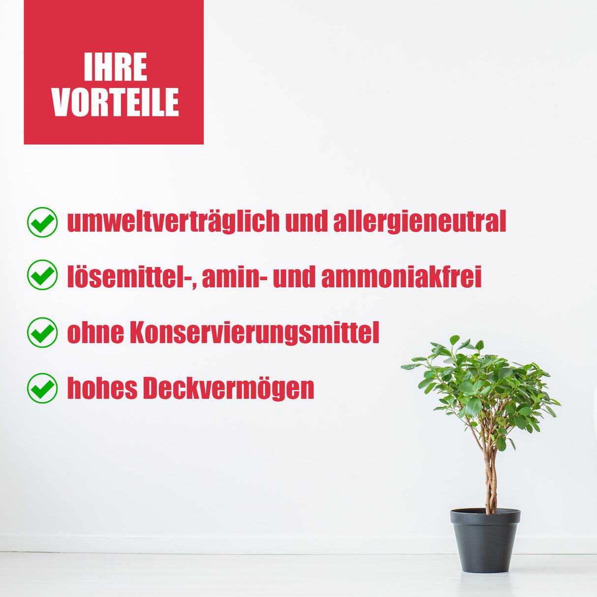 Text und Pflanze vor weißer Wand.
