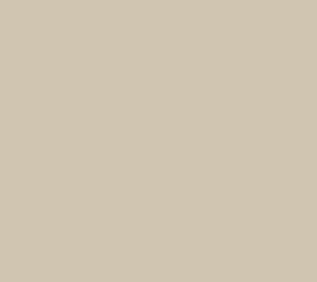 Einfarbige beige Fläche.