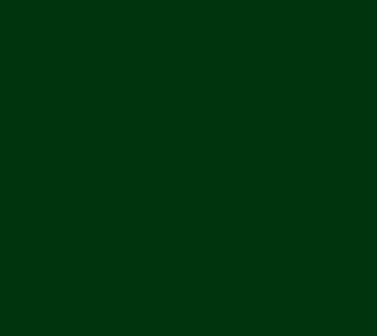 Grüne, einfarbige Fläche.