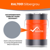 RAL7001 Silbergrau Farbeimer von BEKATEQ.