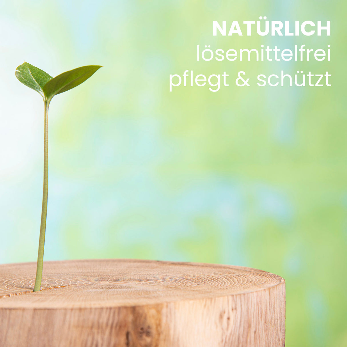 Pflanze auf Holz, Text daneben.
