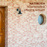 Ziegelwand mit Lampe und Tür.