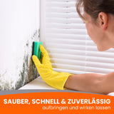 Person reinigt schimmelige Wandfläche.