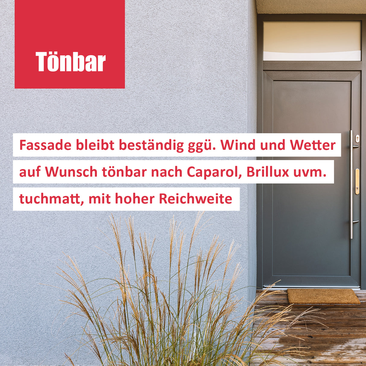 Tür mit Pflanzen und Text.