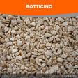 Botticino