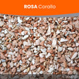 Rosa Corallo