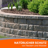 Steinmauer mit Pflanzen und Text.