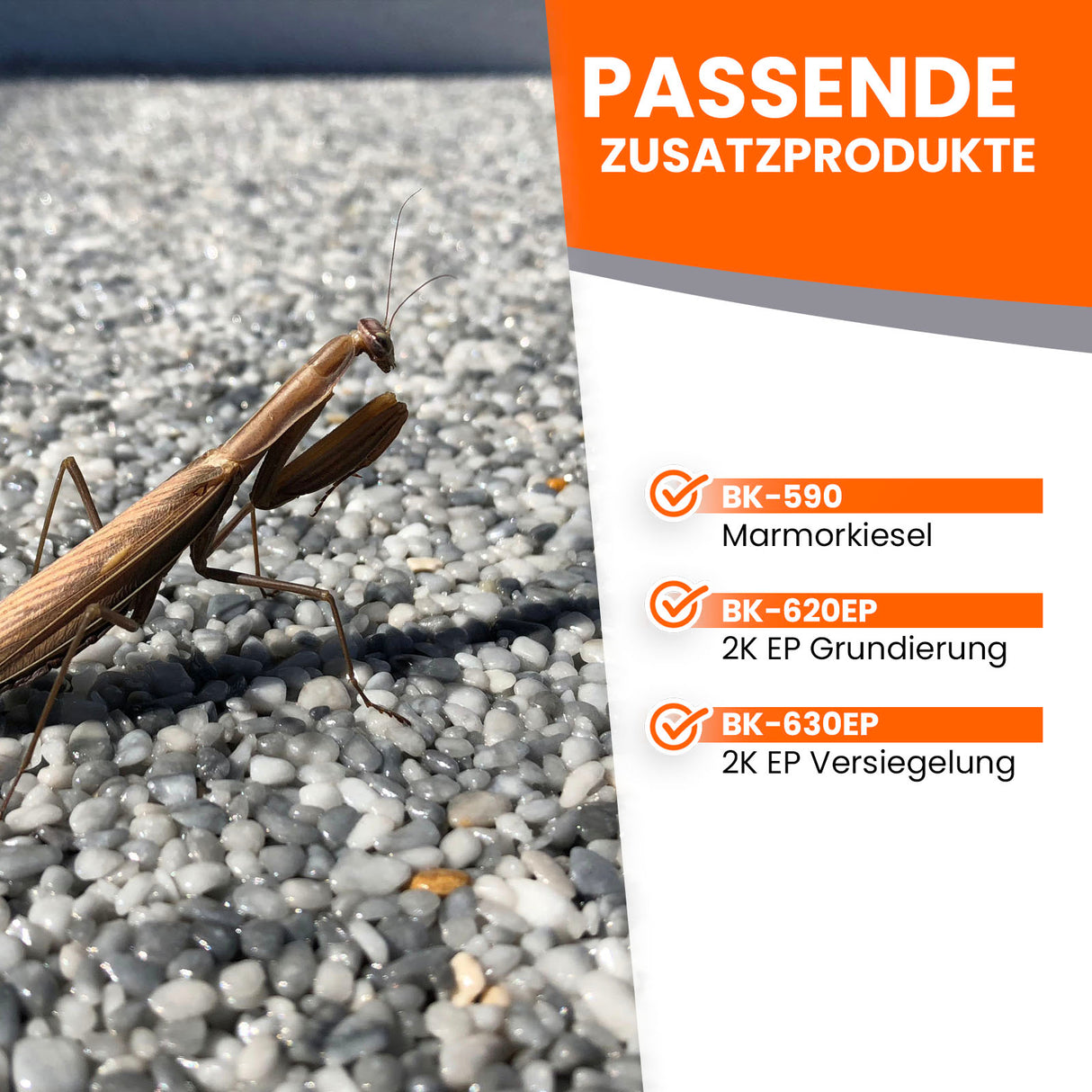 Gottesanbeterin auf Kieselboden, Text.