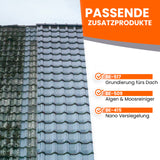 Dachreinigung Vorher-Nachher-Vergleich.