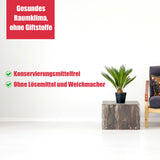 Pflanze, Sessel, Text über Raumklima.