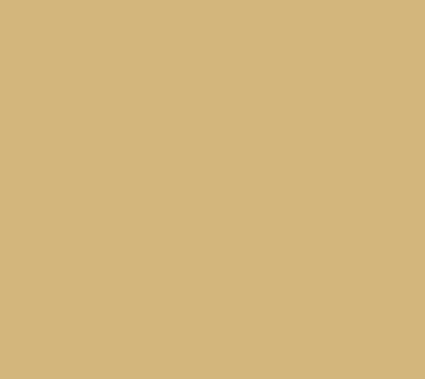 RAL1001 Beige